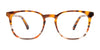 Takumi TK1180 Eyeglasses | Size 48 / Brn Tort & Or & Grey & Cr Str
