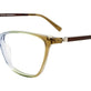 Gradient Blue & Green & Brown/Brown