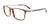 Takumi TK1205 Eyeglasses with Clip-on Sunglasses | Size 54 / Brown Tort/Brown & Steel