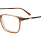 Transparent Brown/Brown