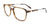 Takumi TK1209 Eyeglasses with Clip-on Sunglasses | Size 54 / Brown Havanna & Steel