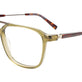 Transparent Khaki & Steel