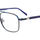Blue & Blue Tortoise