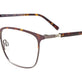 Steel & Tortoise/Tortoise