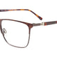 Tortoise Brown