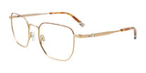 Takumi TK1240 Eyeglasses with Clip-on Sunglasses Gold & Tortoise