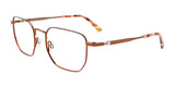 Takumi TK1240 Eyeglasses with Clip-on Sunglasses Copper & Black