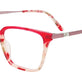 Red Tortoise & Red