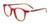 Takumi TK1254 Eyeglasses | Size 43 / Red & Tortoise
