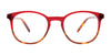 Takumi TK1254 Eyeglasses | Size 43 / Blue Tortoise