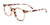 Takumi TK1254 Eyeglasses | Size 43 / Brown Tortoise