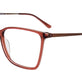 Transparent Brown/Copper