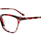 Transparent Red Tortoise