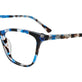 Transparent Blue Tortoise