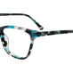 Transparent Cyan Tortoise