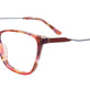Marsala Tortoise
