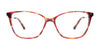Takumi TK1309 Eyeglasses | Size 53 / Marsala Tortoise