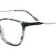 Teal Tortoise
