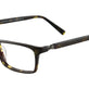 Tortoise Green