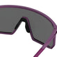 Plum Passion/Interchange