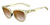 Tifosi Optics STELLA Sunglasses / Crystal Champagne/Brown Gradient Tint