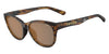 Tifosi Optics STELLA Sunglasses / Java Tortoise/Brown Tint