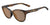 Tifosi Optics STELLA Sunglasses / Java Tortoise/Brown Tint