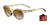 Tifosi Optics SVAGO Sunglasses | Size 52 / Crystal Champagne/Brown Gradient Tint