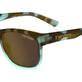 Blue Tortoise/Brown Tint
