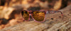 Tifosi Optics SWANK XL Sunglasses | Size 55 / Amber Blaze/Smoke Tint with Orange Mirror