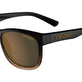 Brown Fade/Polarized Brown Tint