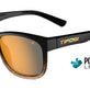 Brown Fade/Polarized Brown Tint