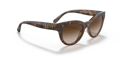 Vogue VO5429S Sunglasses | Size 49