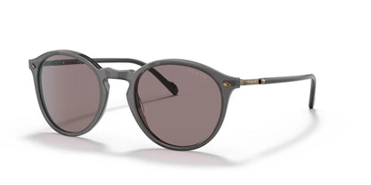 Vogue VO5432S Sunglasses Grey Transparent / Purple Brown