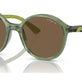 Transparent Dark Green