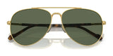 Vogue VO4290S Sunglasses | Size 60