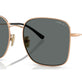 Dark Grey (Polarized) (3P 10%) №515281