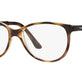 Top Havana / Transparent №1916