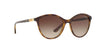 Vogue VO5165S Sunglasses / Dark Havana №W65613 / Brown Gradient (3N 16%) / Size 55