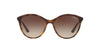 Vogue VO5165S Sunglasses / Dark Havana №W65613 / Brown Gradient (3N 16%) / Size 55