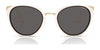 Vogue VO5230S Sunglasses | Size 54 / Black / Grey Gradient (2N 26%) №W44/11