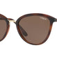 Top Havana / Brown Transparent №238673