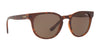 Vogue VO5271S Sunglasses | Size 53 / Top Havana/Brown Transparent №238673 / Dark Brown (3N 9%)