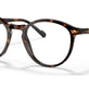 Dark Havana №W656