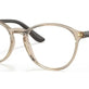 Brown Transparent №2826