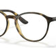 Dark Havana №W656