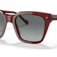 Transparent Bordeaux