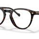 Dark Havana №W656