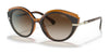 Vogue VO5385SB Sunglasses | Size 53 / Top Havana/Light Brown №238613 / Brown Gradient (3N 16%)