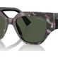 Grey Tortoise